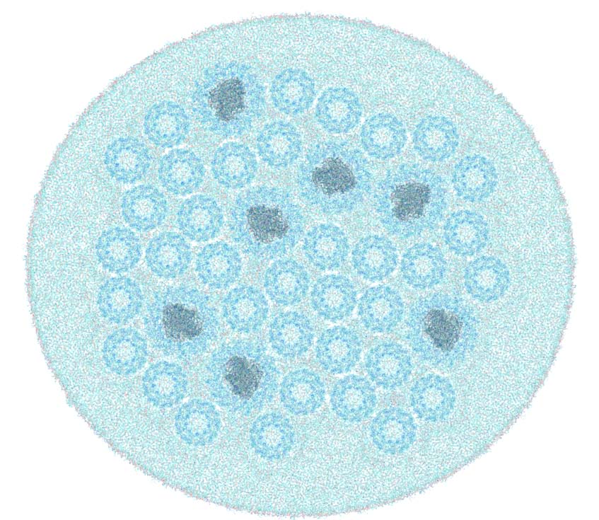 All-atom representation of lamellar chromatophore patch