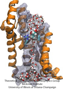 Glycerol conduction in GlpF