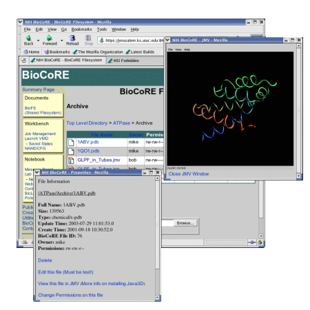 BioCoRE JMV