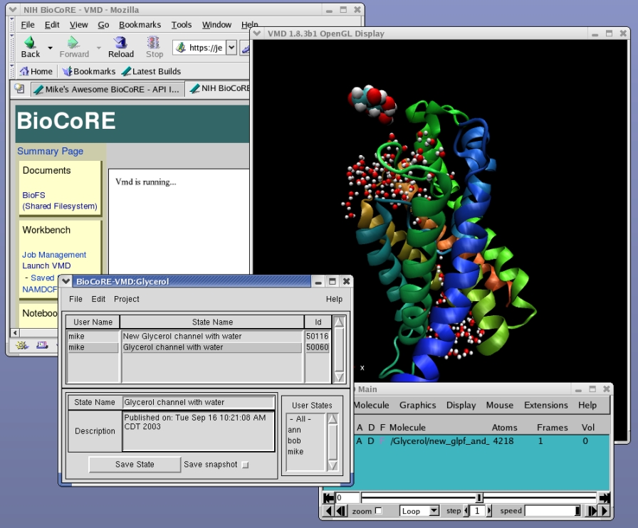 BioCoRE Tour:VMD Loading and Saving States
