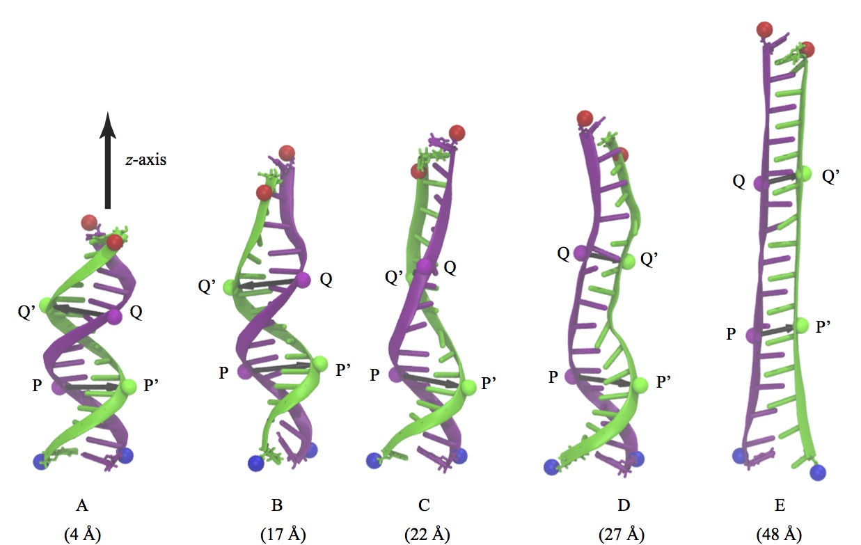 FIG/Fig2