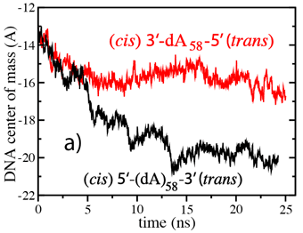 DNA displacement through alpha-hemolysin