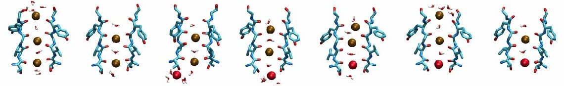 Snapshots of the selectivity filter, during K+ conduction