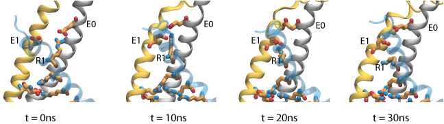 Fraction of transmembrane potential across the VSD