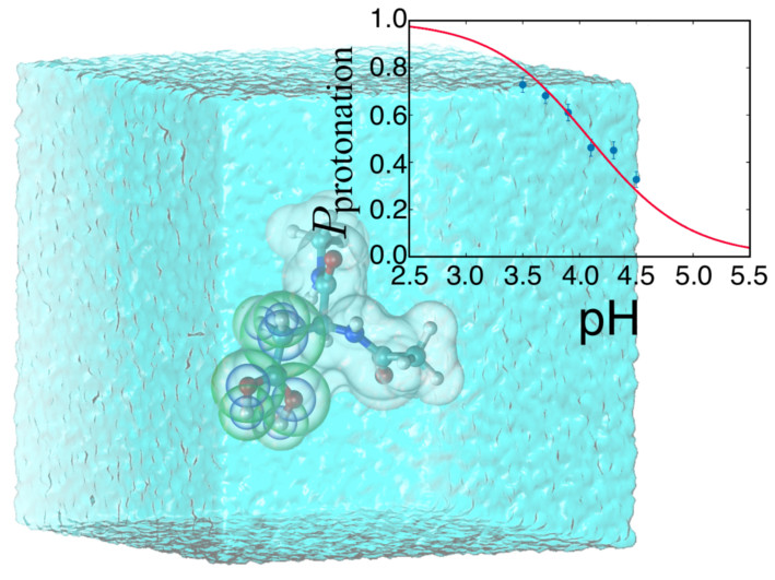 Constant-pH MD image