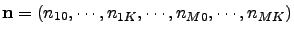 ${\bf n}=\left(n_{10},\cdots,n_{1K},\cdots,n_{M0},\cdots,n_{MK}\right)$