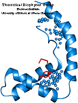 HMG-D Protein