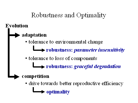 Robustness and
   Optimality