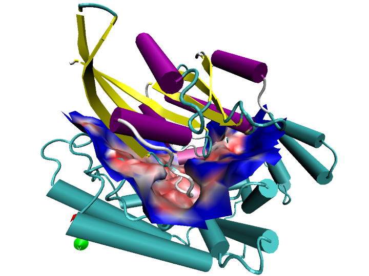 Image of FAS2, created by VMD