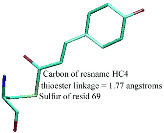 \begin{figure}
\begin{center}
\latex{
\includegraphics[scale=0.5]{FIGS/thio}
}
\end{center}
\end{figure}