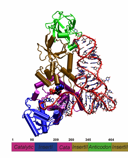 \begin{figure}\begin{center}
\par\par\latex{
\includegraphics[scale=0.5]{pictures/domain_unite} }
\end{center} \end{figure}