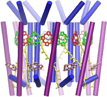 \begin{figure}\begin{center}
\includegraphics[height=3in]{pictures/lh2-side}
\end{center}\end{figure}