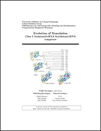 Evolution of Translation Class I