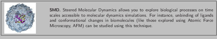 \fbox{
\begin{minipage}{.2\textwidth}
\includegraphics[width=2.3 cm, height=2....
...c Force
Microscopy, AFM) can be studied using this technique.}
\end{minipage} }