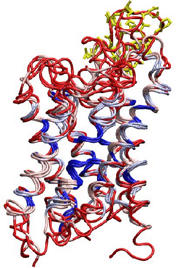 \begin{figure}\vspace{-0.5cm}
\begin{center}
\par
\par
\latex{
\includegraphics[width=2.5in]{pictures/loop-bond}
}
\end{center}\vspace{-1.0cm}\end{figure}