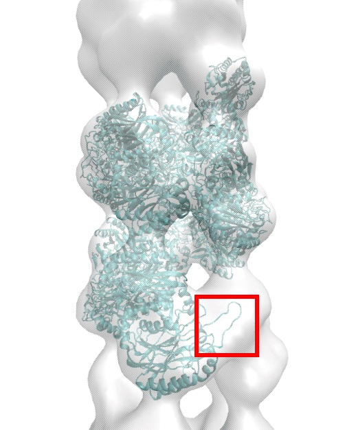 \begin{figure}\begin{center}
\par
\par
\latex{
\includegraphics[scale=0.5]{FIGS/norestraint}
}
\end{center}
\end{figure}