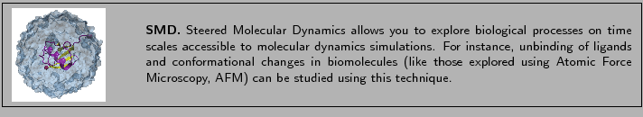 \fbox{
\begin{minipage}{.2\textwidth}
\includegraphics[width=2.3 cm, height=2....
...c Force
Microscopy, AFM) can be studied using this technique.}
\end{minipage} }