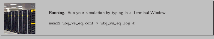 \fbox{
\begin{minipage}{.2\textwidth}
\includegraphics[width=2.3 cm, height=2....
...ow:
\\ \\
{\tt namd2 ubq\_ws\_eq.conf > ubq\_ws\_eq.log \&}
}
\end{minipage} }