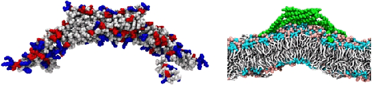 \begin{figure}\begin{center}
\includegraphics[width=\linewidth]{figs/introduction}
\end{center}
\end{figure}