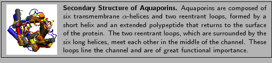 \fbox{
\begin{minipage}{.2\textwidth}
\includegraphics[width=2.3 cm, height=2....
...ops line the
channel and are of great functional importance. }
\end{minipage} }