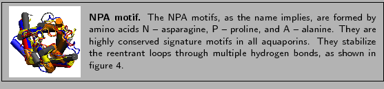 % latex2html id marker 1472
\fbox{
\begin{minipage}{.2\textwidth}
\includegra...
...ultiple hydrogen bonds, as shown in
figure~\ref{fig:repnpa}.}
\end{minipage} }