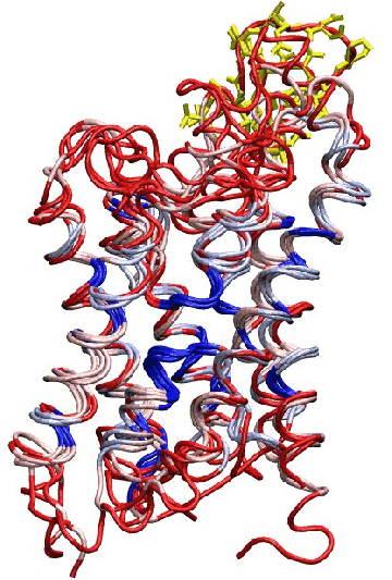 \begin{figure}\vspace{-0.5cm}
\begin{center}
\par
\par
\latex{
\includegraphics[width=2.5in]{pictures/loop-bond}
}
\end{center}\vspace{-1.0cm}\end{figure}