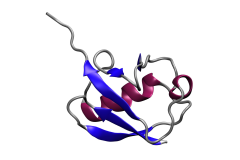 [Ubiquitin Case Study]