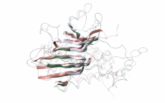 [Bioinformatics and Sequence Alignment]