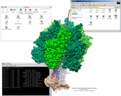 Access BioCoRE files from your Mac, Window, or Linux desktop