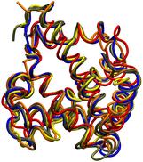 Aligned myoglobin structures