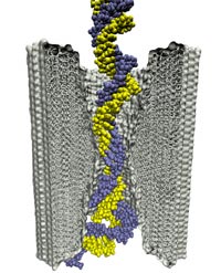 Double stranded DNA stretches through a 2.0-nm-diameter pore in a silicon nitride membrane