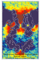 Ionic concentration in MscS