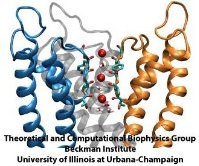 Ion permeation in K channels