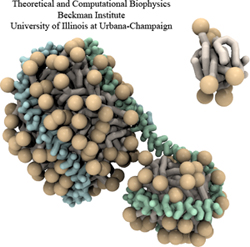 Assembly of discoidal HDL