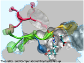 O2 Reactivity in Flavoproteins