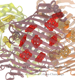 One monomer of the FMO trimer showing 8 bacteriochlorophylls.