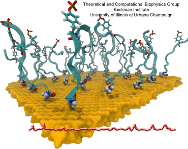 Lung surfactant protein