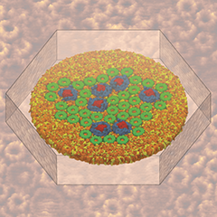 chromatophore membrane