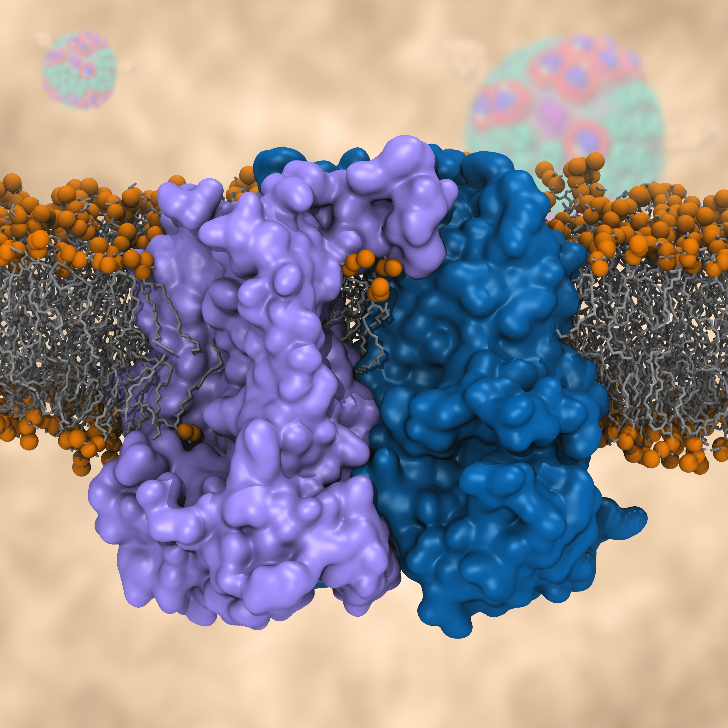 bc1 complex embedded in membrane