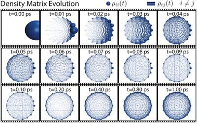 Density matrix evolution of the LH2 B850 ring