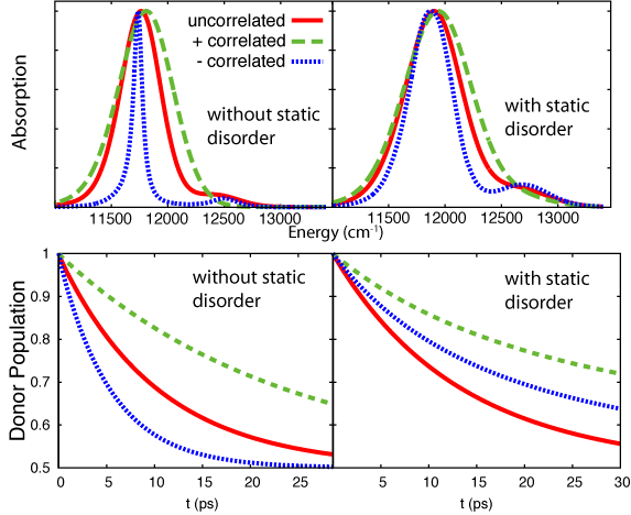 The effect of static disorder and intra-pair correlation on inter-pair transfer.